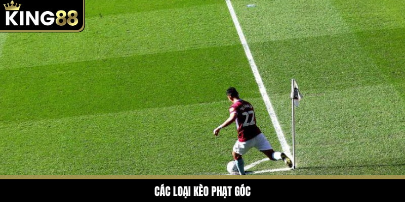 Người chơi có nhiều lựa chọn cược góc đa dạng